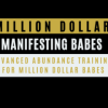 Million-Dollar-Manifesting-Babes-By-Mina-Irfan-The-Universe-Guru-free-download