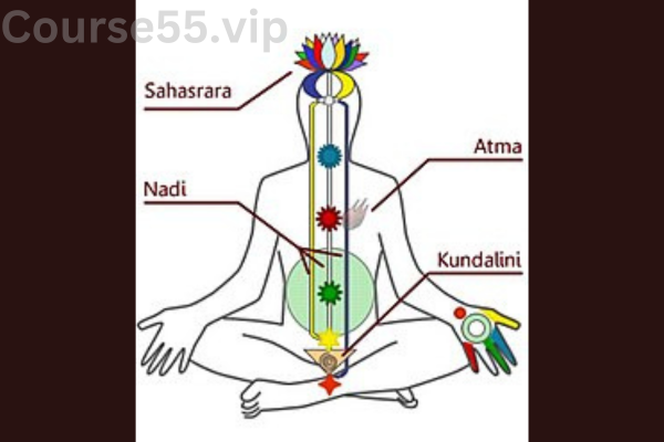 Superhuman-Part-1–Power-Breathing-by-David-Verdesi-free-download