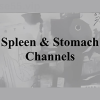 Spleen-&-Stomach-Channels-of-Classical-Chinese-Medicine-By-Jeffrey-Yuen-ACCM-free-download