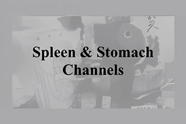 Spleen-&-Stomach-Channels-of-Classical-Chinese-Medicine-By-Jeffrey-Yuen-ACCM-free-download