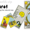 Tarot-Reading-the-Natural-Way-Astrology-Tarot-and-Feng-Shui-By-Donna-Stellhorn-free-download