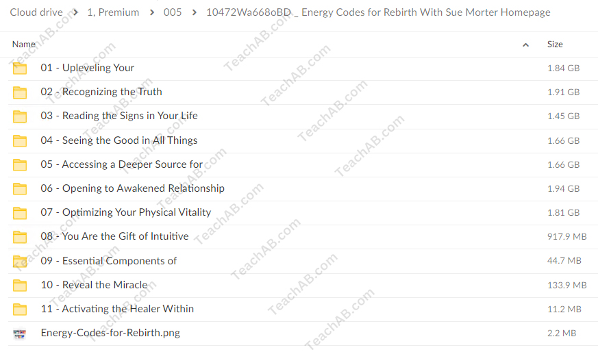Energy Codes for Rebirth By Sue Morter - The Shift Network Free Download