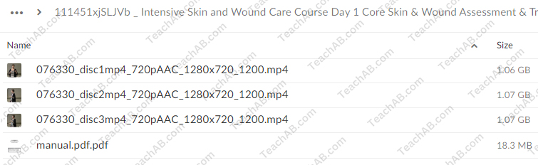 Intensive Skin and Wound Care Course Day 1: Core Skin & Wound Assessment & Treatment By Kim Saunders - PESI Free Download