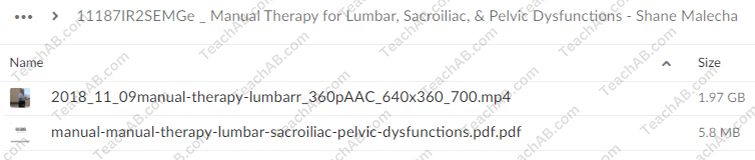 Manual Therapy for Lumbar, Sacroiliac, & Pelvic Dysfunctions By Shane Malecha - PESI Free Download