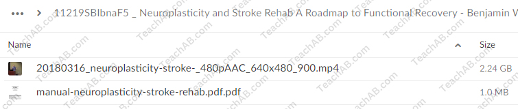 Neuroplasticity and Stroke Rehab: A Roadmap to Functional Recovery By Benjamin White - PESI Free Download