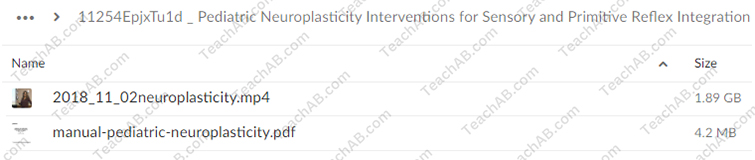 Pediatric Neuroplasticity Interventions for Sensory and Primitive Reflex Integration By April Christopherson - PESI Free Download