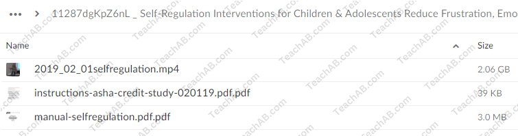 Self-Regulation Interventions for Children & Adolescents: Reduce Frustration, Emotional Outbursts & Oppositional Behaviors By Laura Ehlert - PESI Free Download
