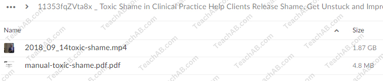 Toxic Shame in Clinical Practice: Help Clients Release Shame, Get Unstuck and Improve Treatment Outcomes By Patti Ashley - PESI Free Download
