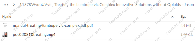 Treating the Lumbopelvic Complex: Innovative Solutions without Opioids By Jason Handschumacher - PESI Free Download
