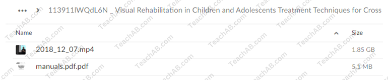 Visual Rehabilitation in Children and Adolescents: Treatment Techniques for Cross Dominance, Visual Neglect, Ocular Motility and Scotopic Sensitivity By Scott Berglund - PESI Free Download