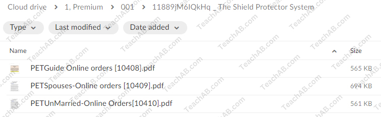 The Shield Protector System By Information Services Unlimited Free Download