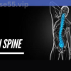 The-MPI-Spine-Online-Course-By-Mark-King-&-Corey-Campbell-free-download