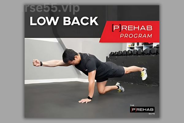 LOW-BACK-[P]REHAB-PROGRAM-By-The-Prehab-Guys-free-download