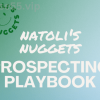 Natoli's-Nuggets-Prospecting-Playbook-By-Anthony-Natoli-free-download