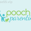 On-Demand-Workshop-First-Week-Home-with-Baby-Dog-By-Pooch-Parenting-free-download