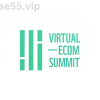 Virtual-Ecom-Summit-By-Akram-free-download