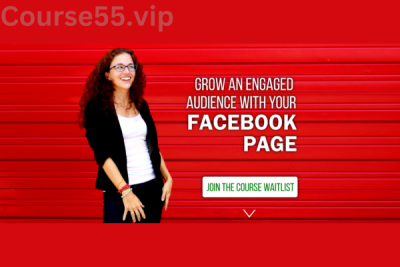 Moolah-Facebook-Page-Strategies-course-By-Rachel-Miller-free-download