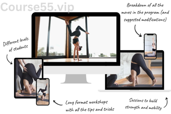 Inversions-By-Karin-Dimitrovova-free-download