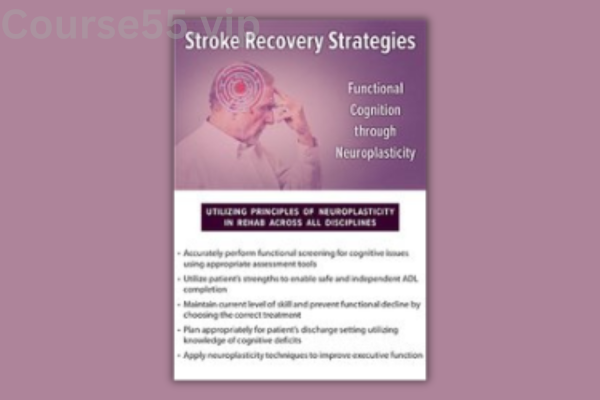 Stroke-Recovery-Strategies:-Functional-Cognition-through-Neuroplasticity-By-Anysia-Ensslen-Boggs-PESI-free-download