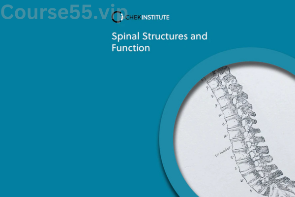 Spinal-Structures-&-Function-By-CHEK-Institute-free-download
