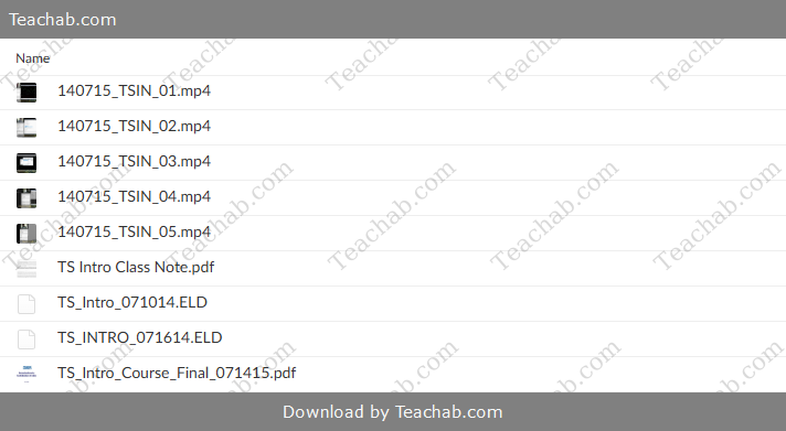 Introduction to TradeStation Coding Free Download