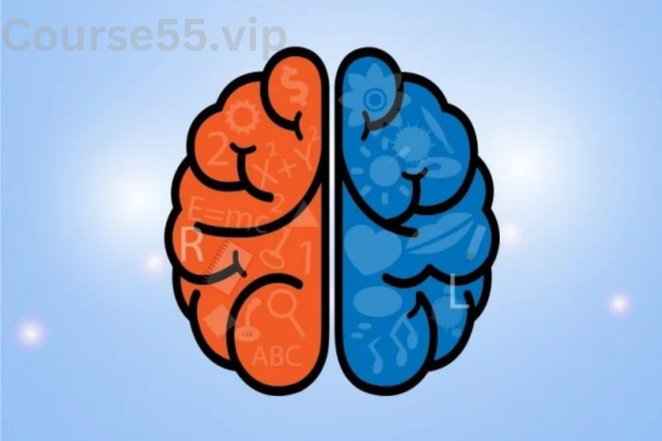 Master-Your-ADHD-Brain-free-download