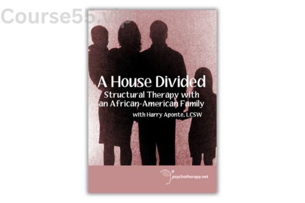 A-House-Divided-Structural-Therapy-with-a-Black-Family-With-Harry-Aponte-free-download