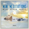 Mini-Meditations-By-Leigh-Spusta-iAwake-Technologies-free-download