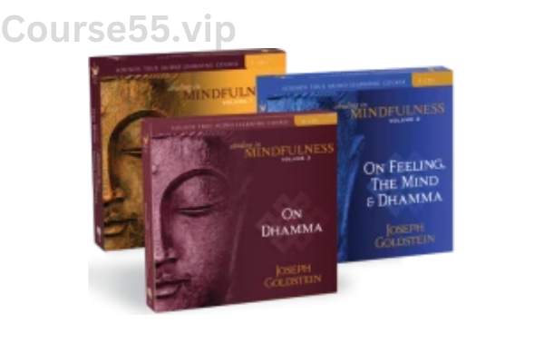 Abiding-in-Mindfulness-Volumes-1-3-By-Joseph-Goldstein-Sounds-True-free-download