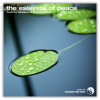 The-Essence-of-Peace-Delta-By-Enlightened-Audio-free-download