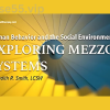 Exploring-Mezzo-Systems-With-Judith-R.-Smith-free-download