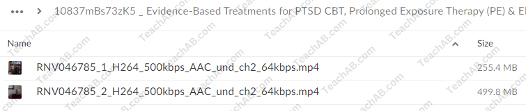 Evidence-Based Treatments for PTSD: CBT, Prolonged Exposure Therapy (PE) & EMDR By Donald Meichenbaum, Edna Foa & Laurel Parnell - PESI Free Download