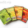 From-Chaos-To-Freedom-Set-By-Marsha-Linehan-free-download