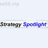 Strategy-Spotlight-Series-by-Brett-Fogle-free-download