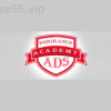 Insurance-Ads-Academy-by-Ryan-Stewman-free-download
