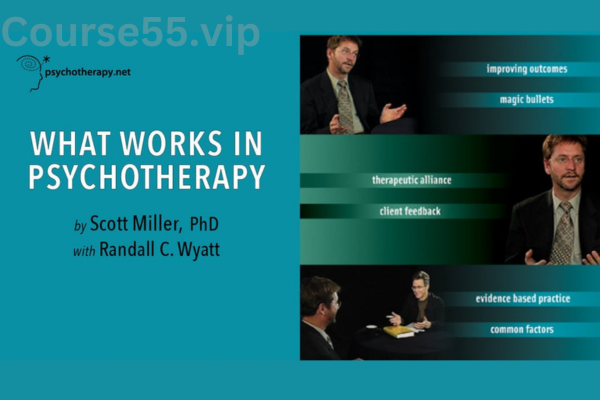 What-Works-in-Psychotherapy-with-Scott-Miller-free-download