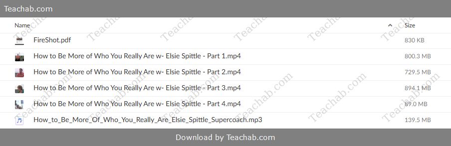 Spiritual Awakening Video Bundle by Michael Neill Free Download