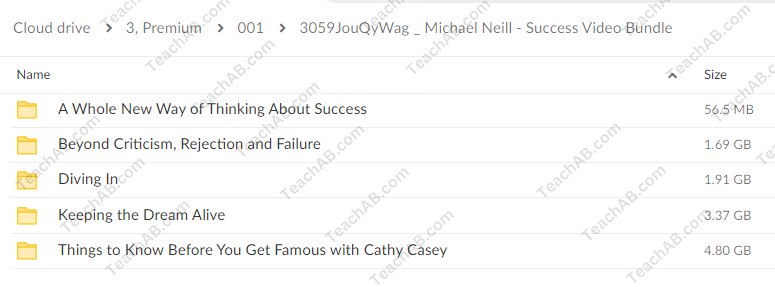 Success-Video-Bundle-By-Michael-Neill-free-download