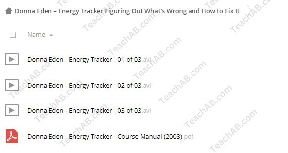 Energy Tracker Figuring Out What’s Wrong and How to Fix It By Donna Eden Free Download