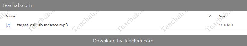 Financial & General Abundance & Debt Release Target Call by Arathi Ma Free Download