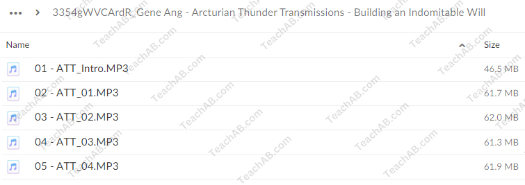 Arcturian Thunder Transmissions - Building an Indomitable Will by Gene Ang Free Download