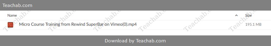 Micro Courses by Ryan Lee Free Download