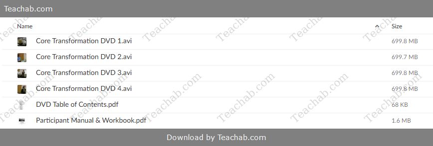 Core Transformation by Tamara Andreas Free Download