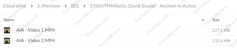 Anchors In Action By David Snyder - NLPPower Free Download