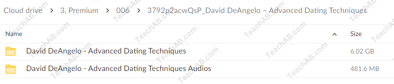 Advanced Dating Techniques By David DeAngelo Free Download