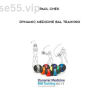 Dynamic-Medicine-Ball-Training-by-Paul-Chek-free-download