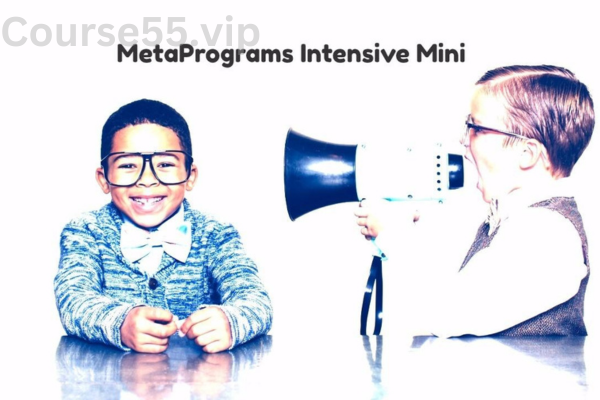 MetaPrograms-Intensive-Mini-Course-By-Joseph-Riggio-free-download