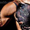 Fitness-Training-By-Andrew-Tate-free-download