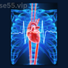 HRV-Training-Course-By-Linda-Walker-free-download