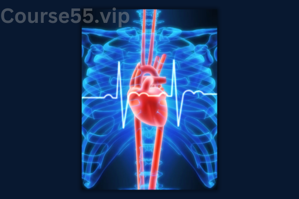 HRV-Training-Course-By-Linda-Walker-free-download